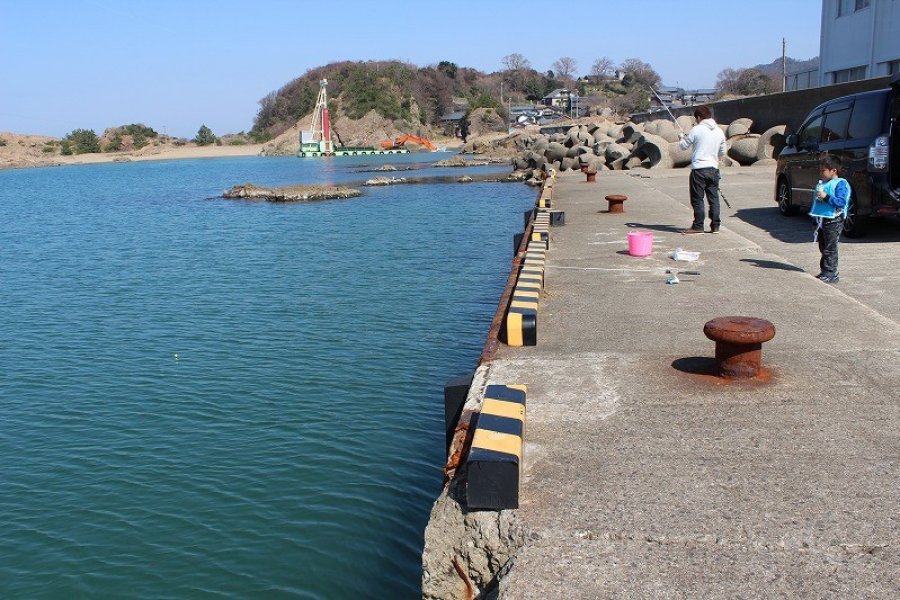 福井越前海岸「和布（めら）漁港で釣り」
