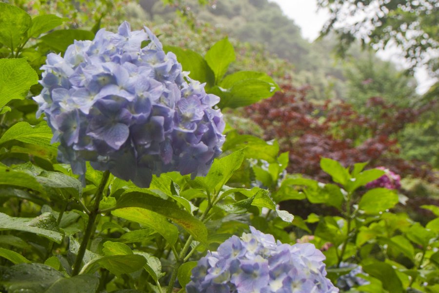 見帰りの滝の麓で