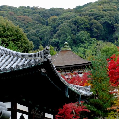 ねねと高台寺: 京都 ねねと高台寺: 京都