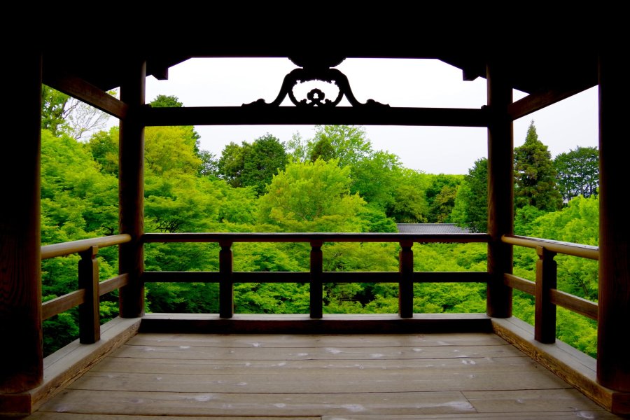 京都　緑陰に憩う東福寺