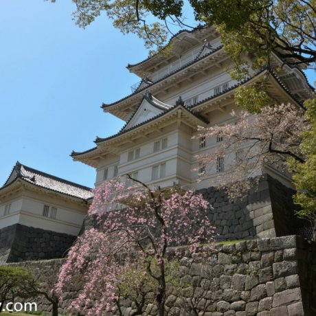 Odawara Castle Odawara Castle