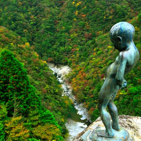 国内屈指の秘境、祖谷渓谷