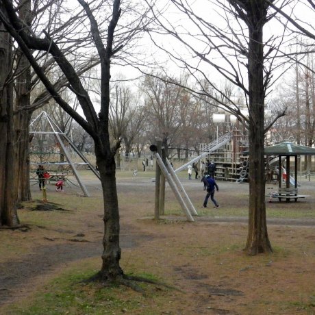 さいたま 大宮 三橋総合公園 さいたま 大宮 三橋総合公園