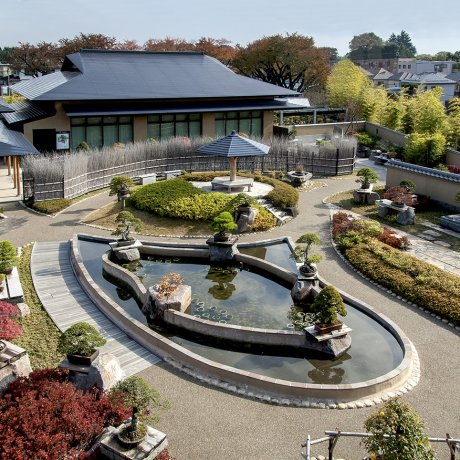 さいたま市大宮盆栽美術館 さいたま市大宮盆栽美術館