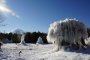 西湖樹氷まつり