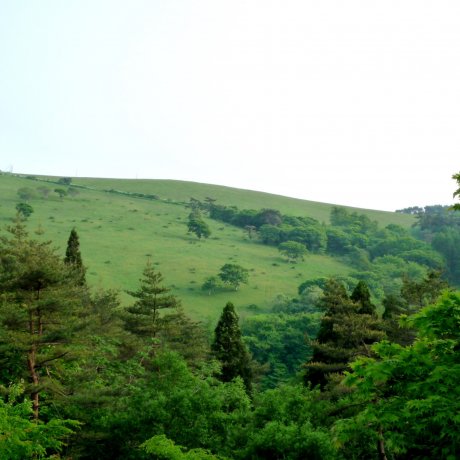岩手県 種山ヶ原 岩手県 種山ヶ原