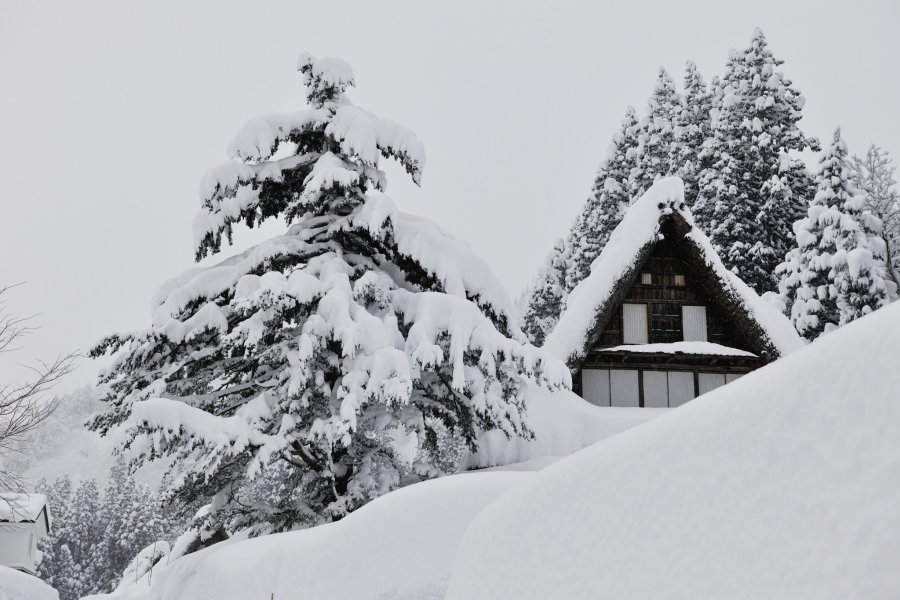 日本の原風景