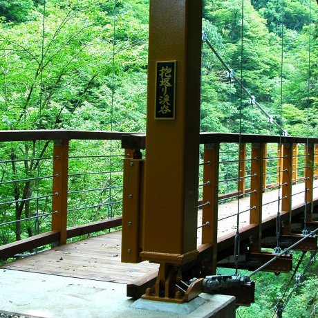 日本のルーツを秋田で発見 日本のルーツを秋田で発見