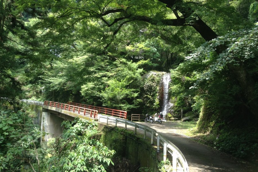 星の岩屋と仏陀石