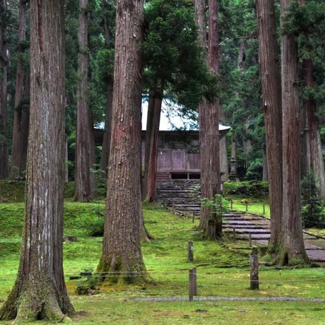 平泉寺白山神社 平泉寺白山神社