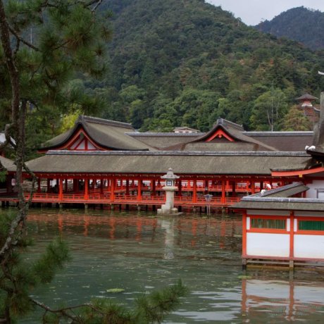 宮島、厳島神社 宮島、厳島神社