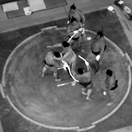 Watching Sumo Watching Sumo