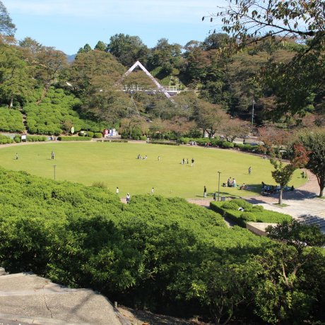 鯖江の西山公園とレッサーパンダ 鯖江の西山公園とレッサーパンダ