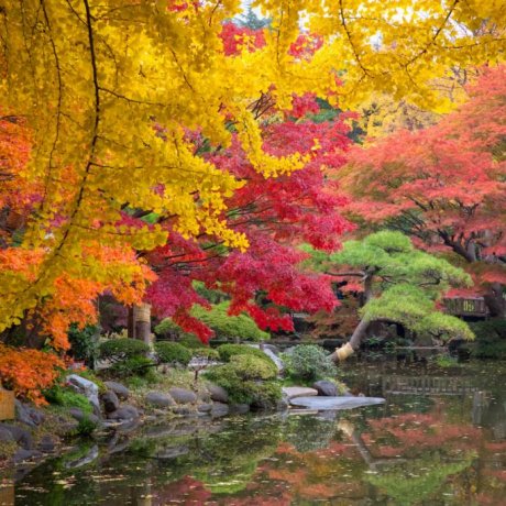 日比谷公園 日比谷公園