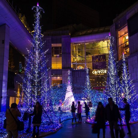 カノン・ダジュール クリスマス・イルミネーション カノン・ダジュール クリスマス・イルミネーション