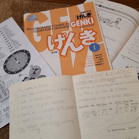 The Japanese Language Barrier The Japanese Language Barrier