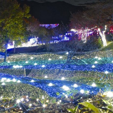 神奈川 相模湖 神奈川 相模湖
