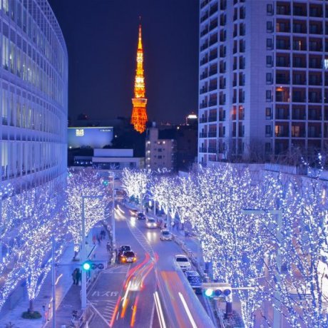 六本木ヒルズのイリュミネーション 六本木ヒルズのイリュミネーション
