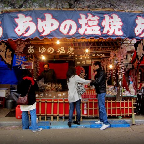 靖国神社のお花見 靖国神社のお花見