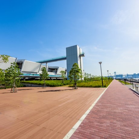 豊洲市場 豊洲市場