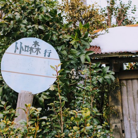 Kurosuke's House at the Totoro Fund Kurosuke's House at the Totoro Fund