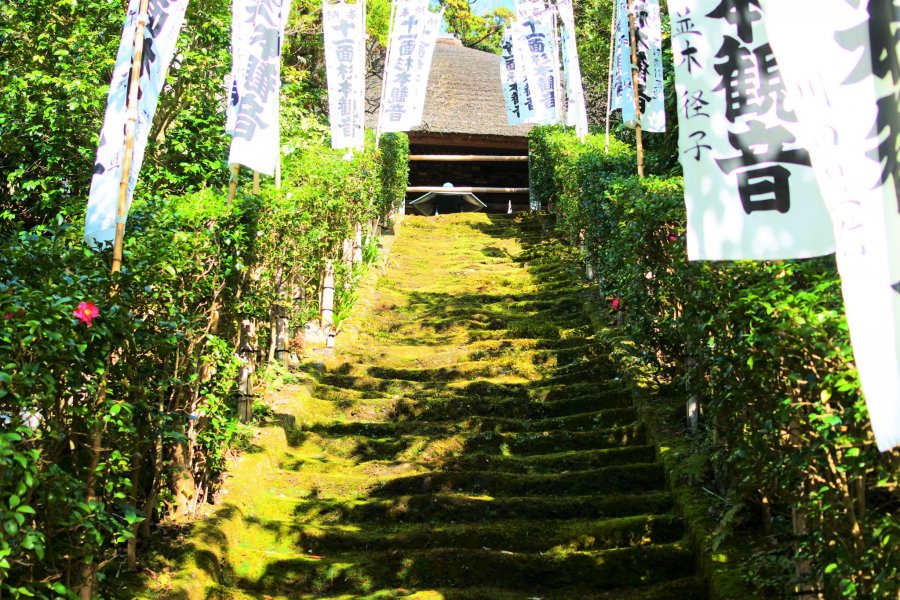 苔の石段が美しい杉本寺