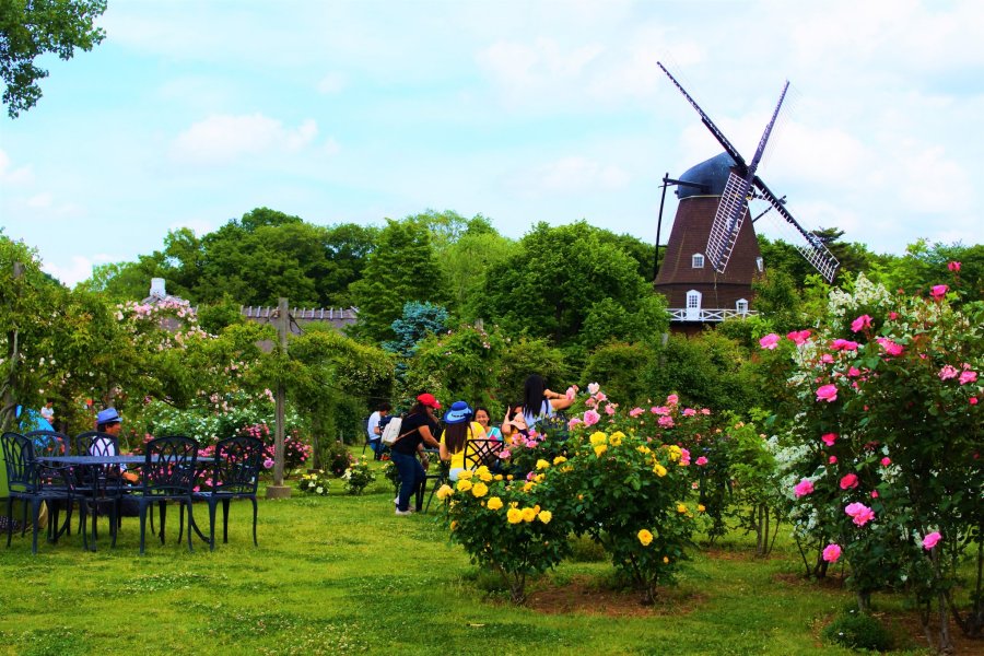 ふなばしアンデルセン公園「ローズガーデン」