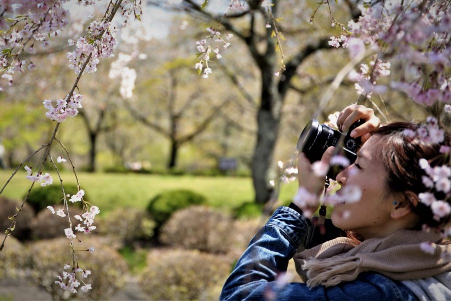 日本庭園の写真教室