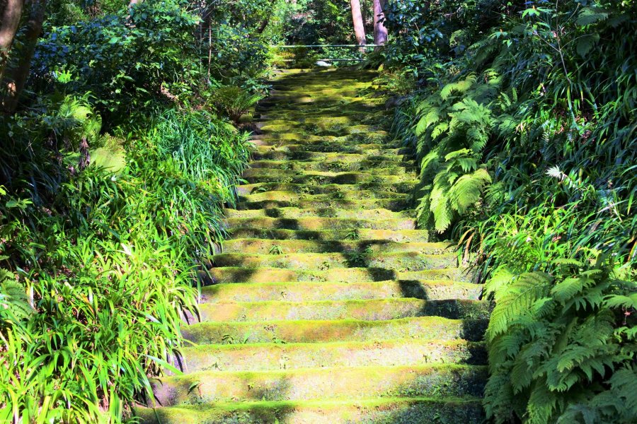 鎌倉　妙法寺