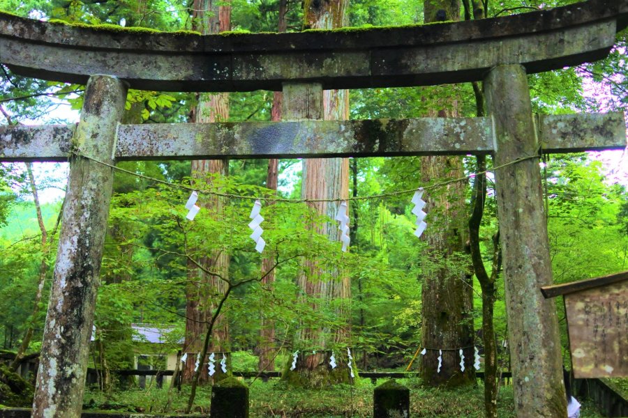 日光　滝尾神社の境内 3