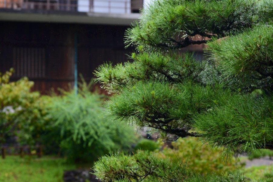 松永記念館