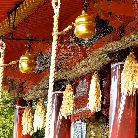 京都 八坂神社 京都 八坂神社