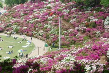 西山公園 西山公園