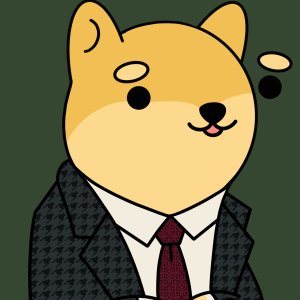 Zz profile photo